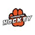 FHS Boys Hockey (@FHS__hockey) Twitter profile photo