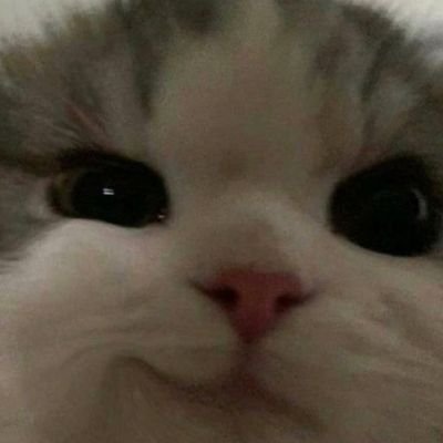 ManuelG54881711's profile picture. An-su Fa-ti