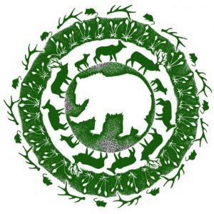 Friends of the Bitterroot is devoted to the preservation of wildlands and wildlife by advocating for forest and watershed protections.