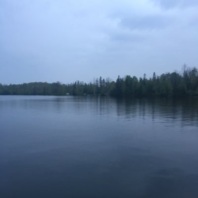 vanyankem87's profile picture. 