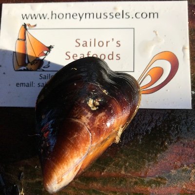 Our mission is simple, grow the sweetest most succulent Honey Mussel and have the best possible time doing it. Our business is family owned and family run.
