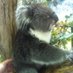 dk2391 (@dolphinking23) Twitter profile photo dk2391 (@dolphinking23) Twitter profile photo