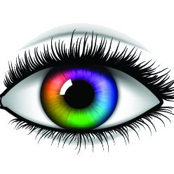 We will help to create your own VISION-VIDEO, utilizing sounds and images that evoke positive emotional feelings and responses.