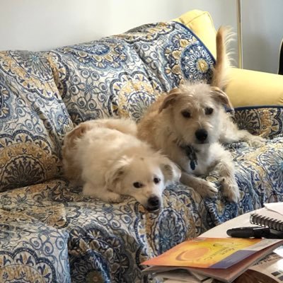 NoonanEwfnp's profile picture. I am a wife, mom, sister, retired FNP. Love life and being free!I love my country!