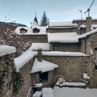 Comenzamos2's profile picture. Siempre creciendo