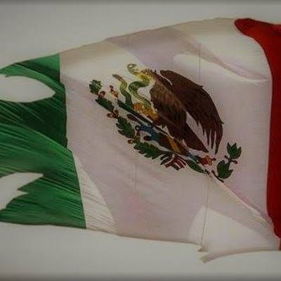 Somos un canal de difusión y publicación de las indagaciones, noticias relevantes de la perspectiva nacional del sector de la Acuacultura y la Pesca de México