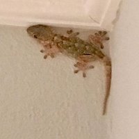 Squidge (@squidgeimage) 's Twitter Profile