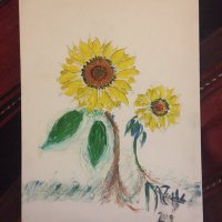 Anis Kobeissi (@aniskob) 's Twitter Profile