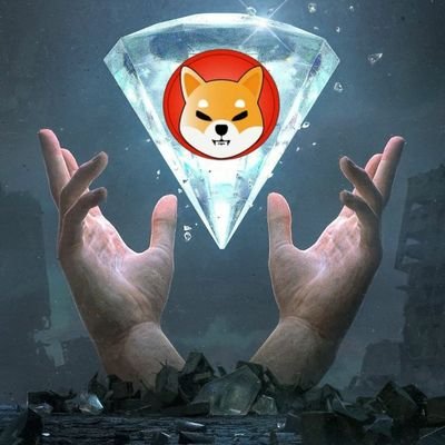 Raakesh11's profile picture. 