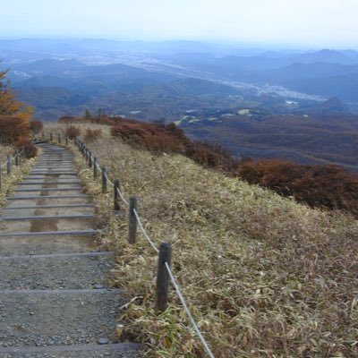 nashidare's profile picture. ️