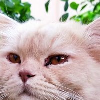 12qw (@mstfy01838046) 's Twitter Profile