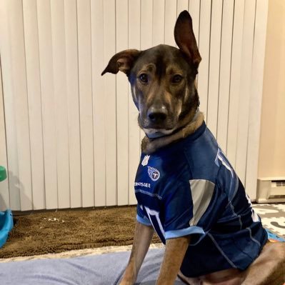 Titan_Bones's profile picture. 