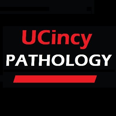 UCincyPath Profile Picture