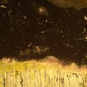 Tisha Ferguson - @knitngarden - Twitter