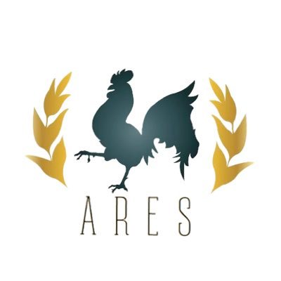 ARES : Association Rémoise des Étudiants en STAPS Profile
