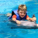 Brandon Freitag - @brandonfreitagi - Twitter