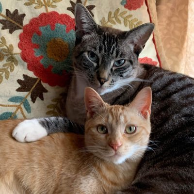 Nate Holmberg Profile