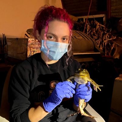 Sarahlaurino's profile picture. UC Davis graduate | SIUE grad student | I really like bullfrogs