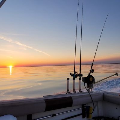 BAWood9's profile picture. Probably a bot 🇱🇷 gettr=BA_Wood31