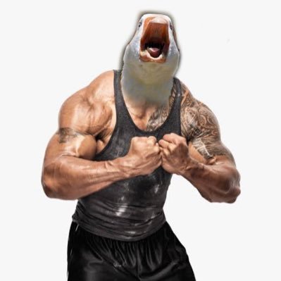 Goose Boy