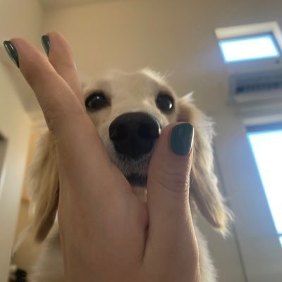 an26594585's profile picture. 🐶ina🐶 3歳 赤ちゃん返り卒業👶 仲良くして頂けると嬉しいです‼︎