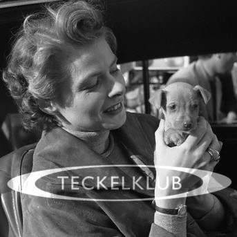 teckelklub Profile Picture