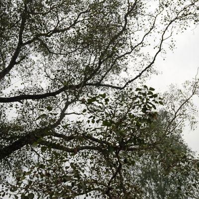 MOHAMME14332386's profile picture. 