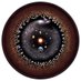 Encyclopaedia Cosmologica (@ECosmologica) Twitter profile photo