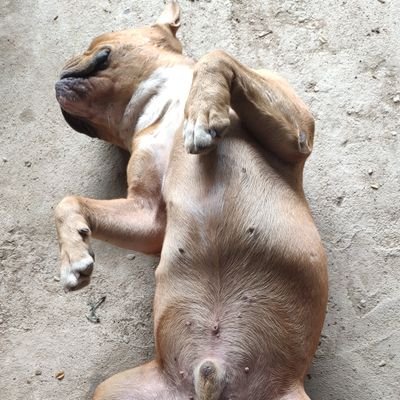 KingKongCPK's profile picture. ด้านมืด ฝาง แม่อาย ไชยปราการ ชอบผู้หญิง 
คุยได้อัธยาศัยดีครับ