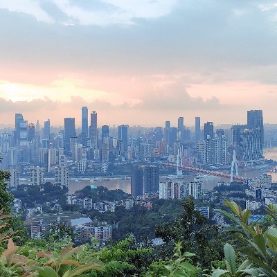 zk_seagull's profile picture. 