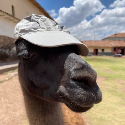 Djib_Duvrai's profile picture. 