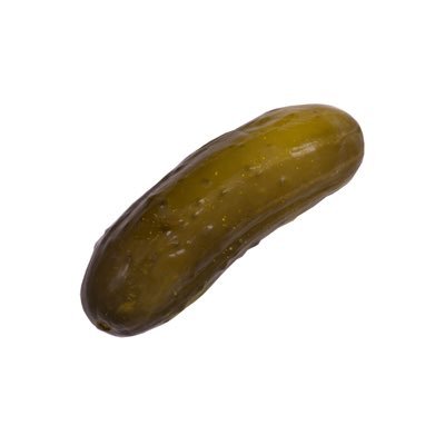 JZHomeworkPCCLS's profile picture. Pickles #Pickles