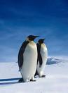 I am #LinuxAdmin working on Qmail, Proxy, DNS, #xenserver, #puppet & #Nagios