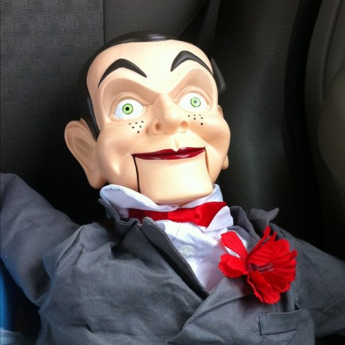 evol135's profile picture. 