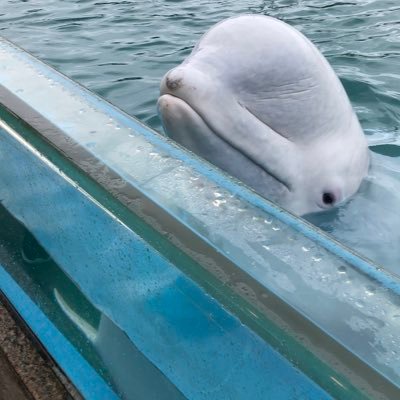 buk5dzDiGIVByRP's profile picture. ハワイをこよなく愛してる❤ #EXILETAKAHIRO #EXILE fan18年                      #Hawaii