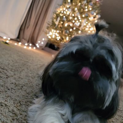 CruzzLPuff's profile picture. here to be here