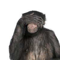 GreyWing (@greywinguk) 's Twitter Profile