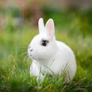 sa_alam33's profile picture. 🌿☕️