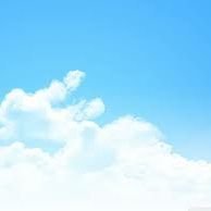 ayl_67's profile picture. 