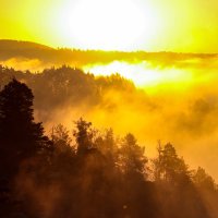 3pass (@3pn) Twitter profile photo