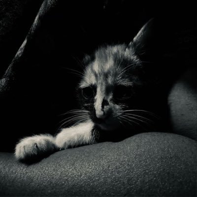 ClarenceLarki12's profile picture. 😁Eeee…