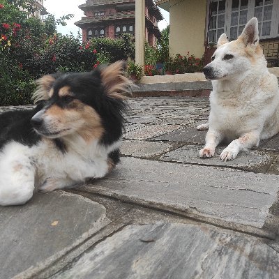 LittleBitOG's profile picture. Always sus