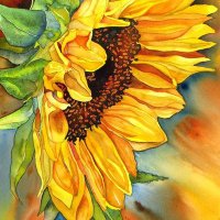 Grisel Oquendo Biart (@ok2biart) 's Twitter Profile Photo Grisel Oquendo Biart (@ok2biart) 's Twitter Profile Photo