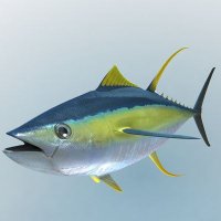 fish(@howisfish) 's Twitter Profile Photo