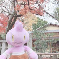 あさひ (@tbop_qodt) 's Twitter Profile