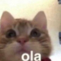 BunnyDummy (@bunnydummyrl) 's Twitter Profile