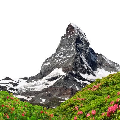 crove2003's profile picture. CE💻