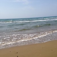 まきんこ (@makinko_703) 's Twitter Profile