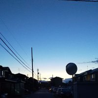 長谷川 祐也 (@yuuya19850816) Twitter profile photo