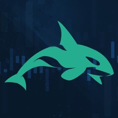 Killer Whale Algorithmic Intelligence at Work!